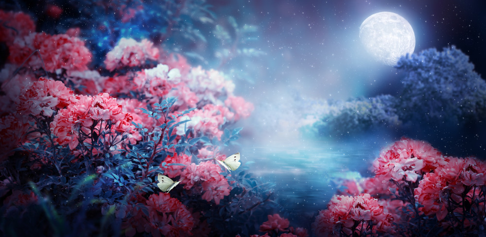 Ritual Magie: Foto: © Julia Ardaran / shutterstock / #1903127728